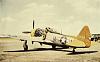 Looking for photos of Tarheel Hal P47D-fre_007208.jpg