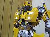 Bumblebee-5.jpg