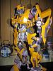 Bumblebee-7.jpg