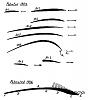 FGMM [Aircraft] Phillips Multiplane-phillips_curvedsurfaces_350.jpg