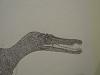 my prehistoric drawing-baryonyx-head.jpg