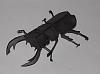 Canon one page Bugs-stag-bettle-1.jpg