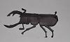 Canon one page Bugs-stag-beetle-2.jpg